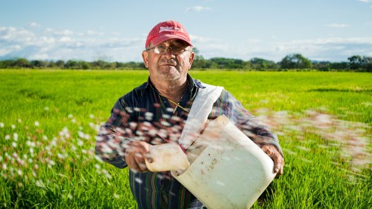 Ministrul Agriculturii promite dublarea fondurilor pentru Investalim şi credite avantajoase pentru fermieri