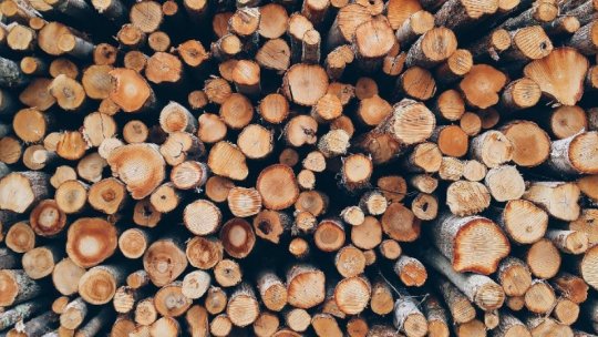 Plan pentru sprijinirea cu lemne de foc a familiilor sărace