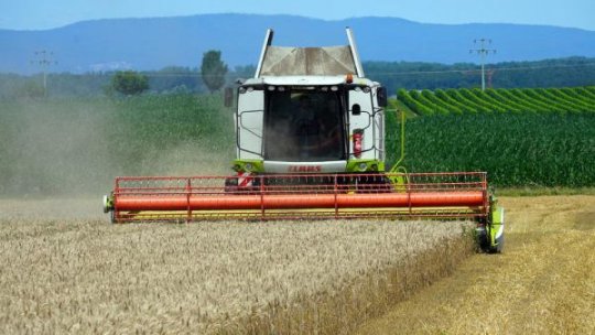 România se menține în topul celor mai mari producători de cereale din UE