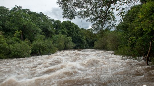 Risc de inundații pe râuri din mai multe judeţe