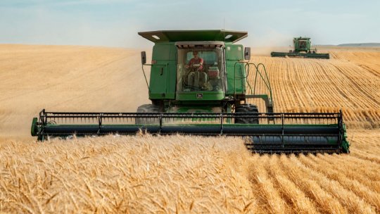 Anul viitor, prețurile mondiale la grâu, porumb și soia "ar urma să scadă"