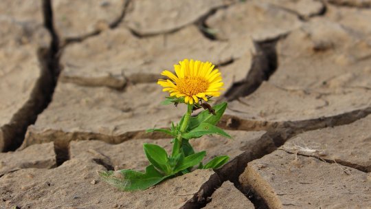2023, cel mai călduros an din istoria măsurătorilor, cu un record de CO2 şi secetă extremă