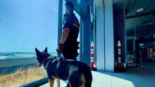 Captură de ţigări de contrabandă, pe Aeroportul Otopeni cu ajutorul câinelui Ebasa