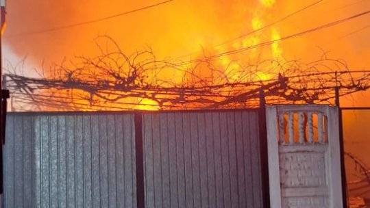 CONSTANȚA: Pompierii au stins 10 incendii în 24 de ore