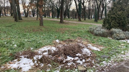 Parcul Civic din Timișoara va fi modernizat de o nouă companie