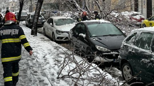 BUCUREȘTI: Zeci de autoturisme, avariate de arbori prăbușiți