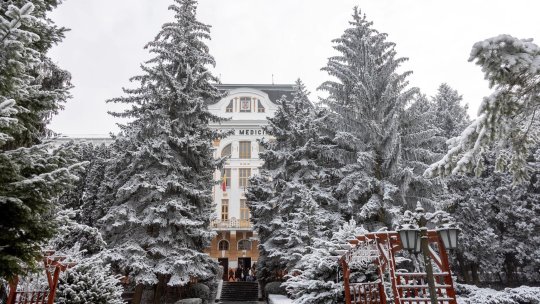 Studii acreditate în limba engleză la Universitatea de Medicină, Farmacie, Ştiinţe şi Tehnologie din Târgu Mureș