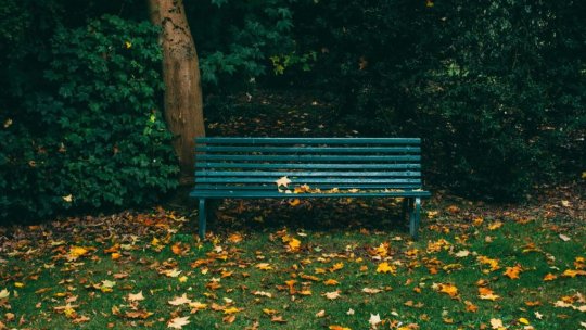 CRAIOVA: Proiectul de amenajare a Parcului Cernele, în desfășurare