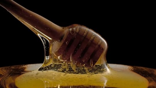 Acord european pentru etichetarea borcanelor de miere cu ţara de origine