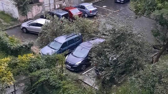 GALAȚI: Curți inundate și copaci căzuți peste mașini și peste fire de electricitate
