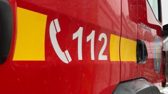 MUREȘ: Un TIR încărcat cu oi s-a răsturnat pe DN 13