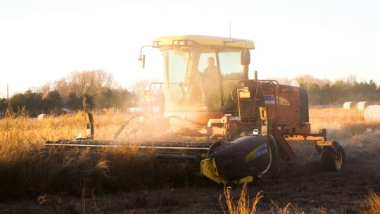Criză în sectorul agricol al UE. Producția de cereale din acest an, estimată la un nivel cu 9% mai mic față de media istorică