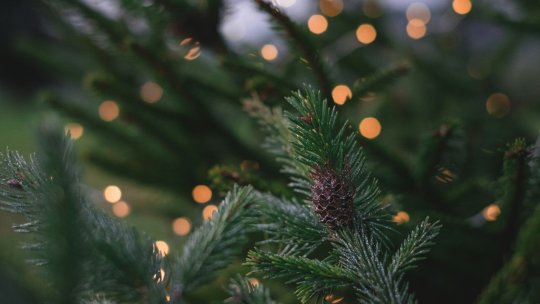 Cum va fi vremea de Crăciun și de Revelion. Prognoza ANM pentru luna decembrie