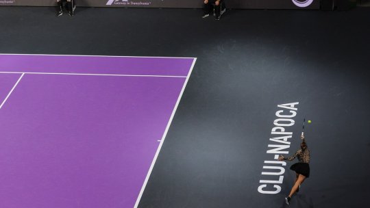 Transylvania Open: Karolina Pliskova și Ana Bogdan, în finală