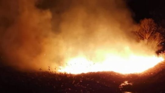 TULCEA: 5 incendii de vegetație produse într-o singură noapte