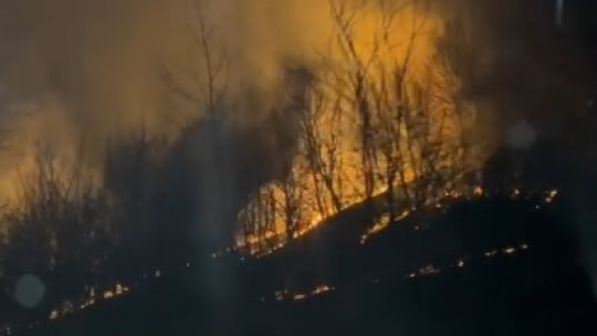 CARAȘ-SEVERIN: Pompierii, mobilizați să stingă mai multe incendii de vegetație