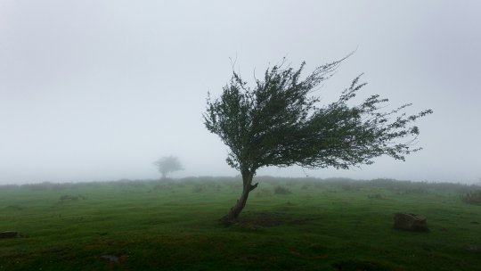 NEAMȚ: 20 de localităţi, afectate de vântul puternic