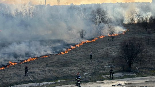 BUCUREȘTI: Dispută între Administrația Parcului Văcărești și pompieri după un nou incendiu | VIDEO