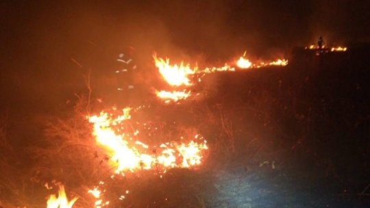 Se înmulțesc incendiile de vegetație uscată în județul Tulcea