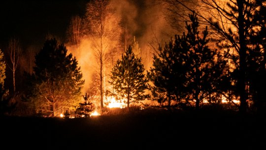 VASLUI: Incendiile din weekend au distrus zeci de hectare de vegetaţie uscată