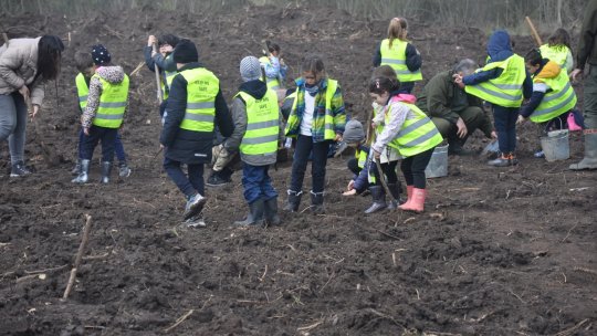 Campania „Plantează un copac – sădește o speranță!”, continuată de Radio România Oltenia Craiova