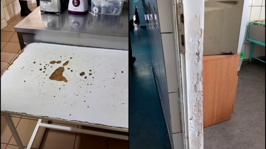 PRAHOVA: Abateri deosebit de grave la un centru pentru persoane cu handicap. Unii dintre rezidenți, diagnosticați cu scabie | VIDEO