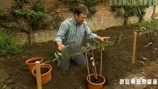 O pereche de blugi, cenzurată de televiziunea din Coreea de Nord
