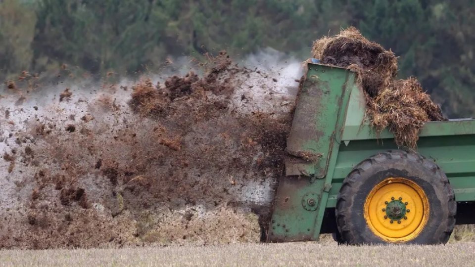 ARAD: Un fermier responsabil de mirosul greu de suportat a fost amendat
