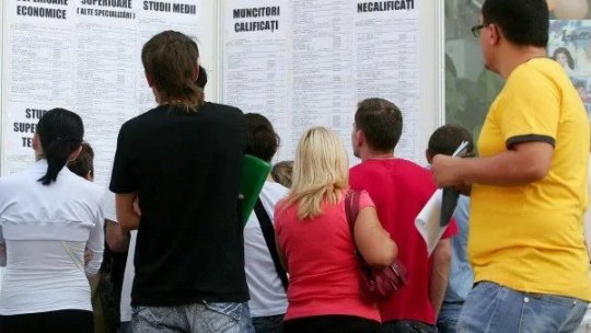 Timiș, județul cu una dintre cele mai scăzute rate de șomaj din țară