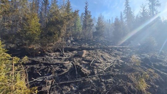 MUREȘ: Incendiu forestier în zona Lăpuşna-Ibăneşti