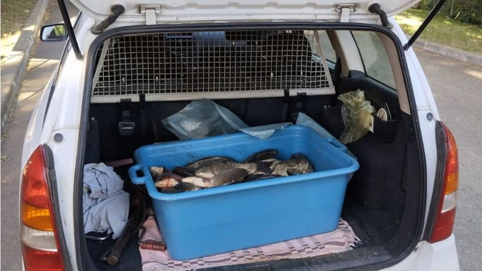 CARAȘ-SEVERIN: Zeci de kilograme de pește fără documente, descoperite de autoritățile de frontieră