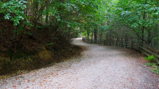 POIANA BRAȘOV: Drumul vechi spre oraș ar putea fi o alee de promenadă