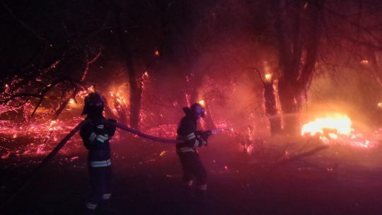GALAȚI: Incendiu violent în pădurea Frumușița