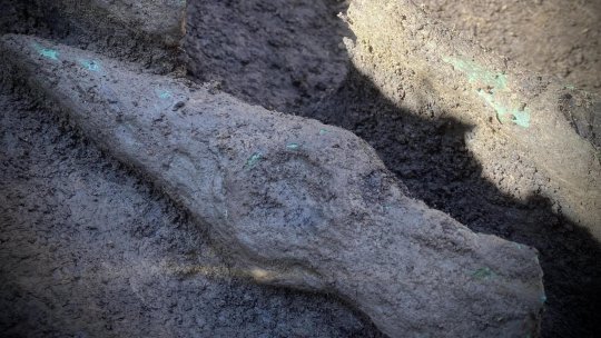 MUREȘ: A fost descoperit primul tezaur eneolitic din județ
