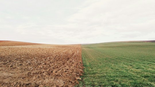 Ministrul Mediului: România pierde anual 1.000 de hectare de terenuri arabile în „Sahara Olteniei”