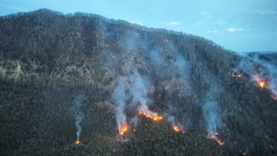 BACĂU: Continuă lupta cu incendiul forestier din Târgu Ocna
