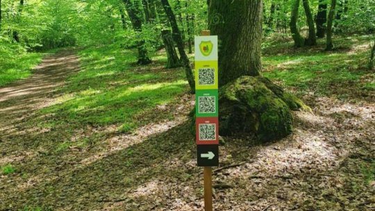 VÂLCEA: Traseu educativ dedicat cunoașterii pădurii, inaugurat la Călimănești