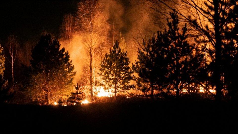 Numărul incendiilor de vegetație din județul Vâlcea s-a dublat