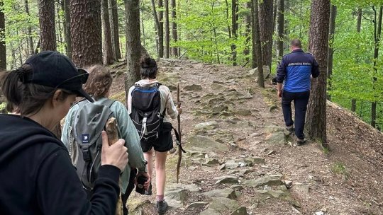Un grup de turişti s-a întâlnit cu 4 urşi, pe traseul 300 de scări din Slănic Moldova