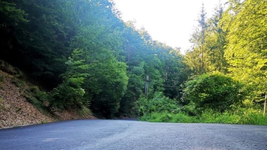 VÂLCEA: "Drumul Oaselor", în reabilitare