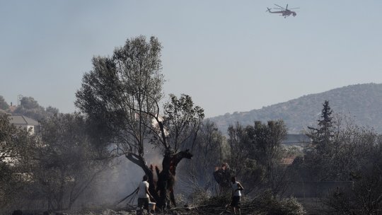 GRECIA: Incendiu de pădure puternic în apropiere de Atena