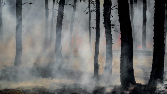 MAE: Risc crescut de incendii de vegetație în Macedonia de Nord