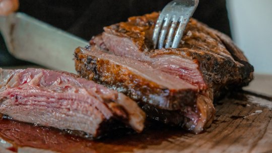Primul tip de carne artificială aprobat în Europa va fi consumat de animalele de companie