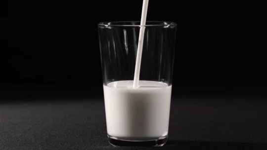 Amenzi de peste 3 milioane de lei, date de ANPC unor comercianţi de produse lactate