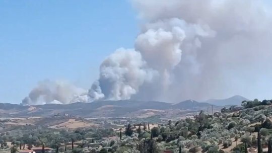 Grecia: 54 de incendii de vegetaţie, înregistrate într-un interval de 24 de ore | VIDEO