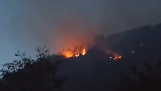 Încă un incendiu în Parcul Natural Porțile de Fier. Risc de extindere către locuințe | VIDEO