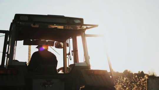 Fermierii pot cere până pe 19 august constatarea pagubelor produse de secetă, pentru despăgubiri