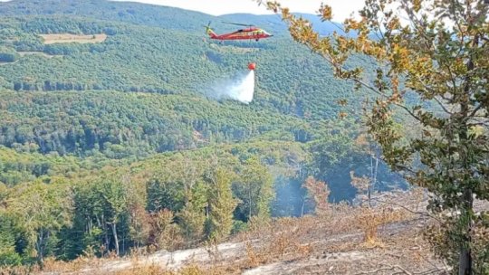 Pompierii mehedințeni au stins incendiul din Parcul Natural Porţile de Fier