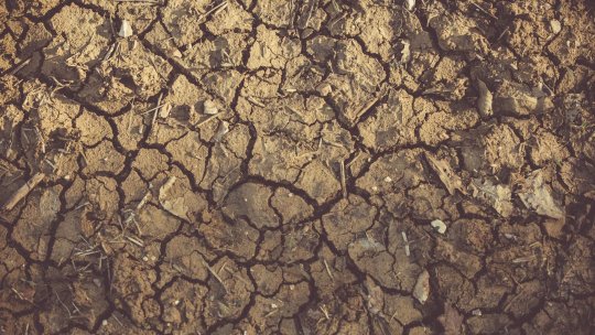 BRAȘOV: Aproape 3.700 de hectare de terenuri agricole, afectate de secetă