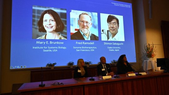 Premiul Nobel pentru Medicină 2025, câștigat de Mary E. Brunkow, Fred Ramsdell şi Shimon Sakaguchi